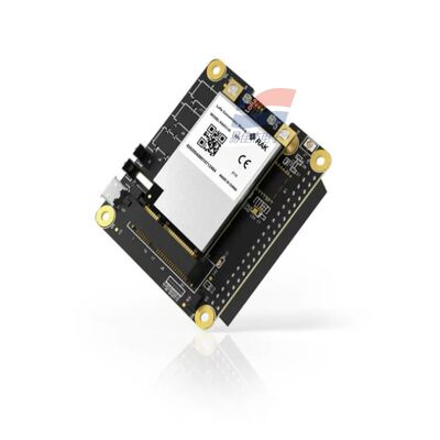 YJJ RAK5146 Módulo concentrador PiHAT adecuado para LoRaWAN para la recogida de datos de sensores