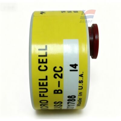 YJJ C06689-B2C Clase B-2C Sensor de oxígeno de traza de 0 a 10 ppm para la fabricación electrónica de semiconductores